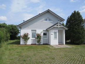 House Saga - Huus Asgard, Nieby